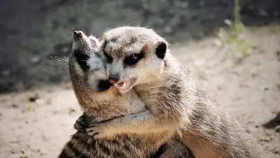 Михаил Сорокоумов, фото - Новости Zakon.kz от 07.10.2019 10:11