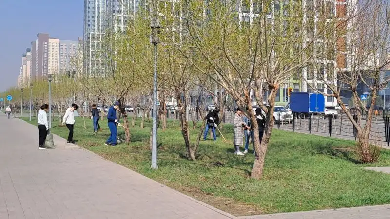 Акимат, Астана, уборка , фото - Новости Zakon.kz от 29.04.2023 14:14