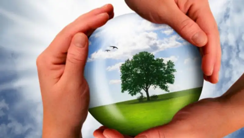 В Казахстане предложили пересмотреть концепцию экологического образования