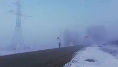 обращение ДП Алматинской области, фото - Новости Zakon.kz от 23.03.2022 14:37