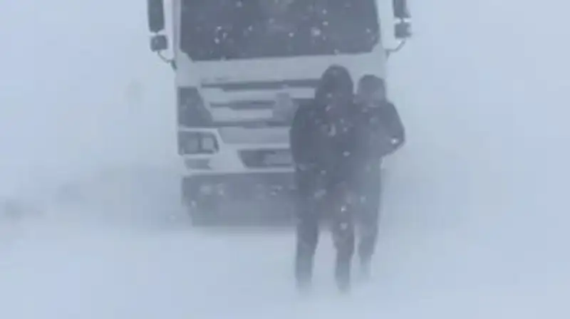 В Жамбылской области из-за сильного ветра ряд домов остались без газа, тепла и света