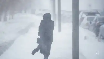 ветер, фото - Новости Zakon.kz от 14.02.2022 18:13