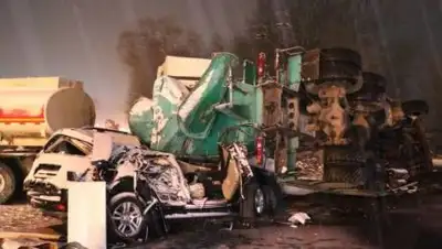 zakon.kz., фото - Новости Zakon.kz от 05.12.2020 07:04