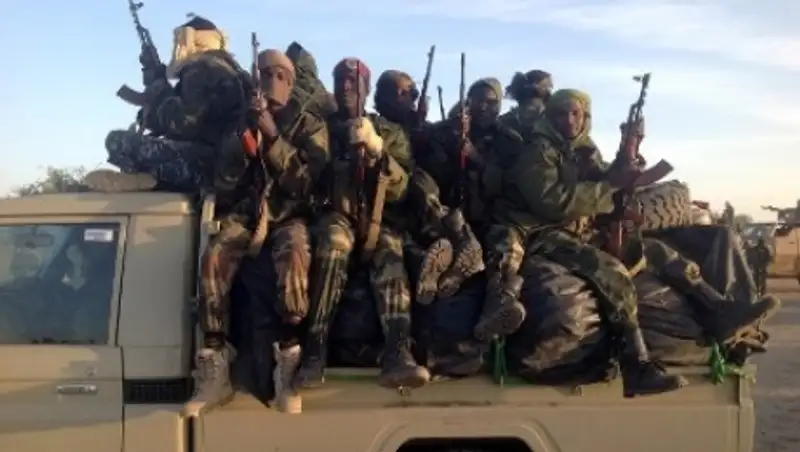 Военные Чада ликвидировали 123 боевиков «Боко харам»