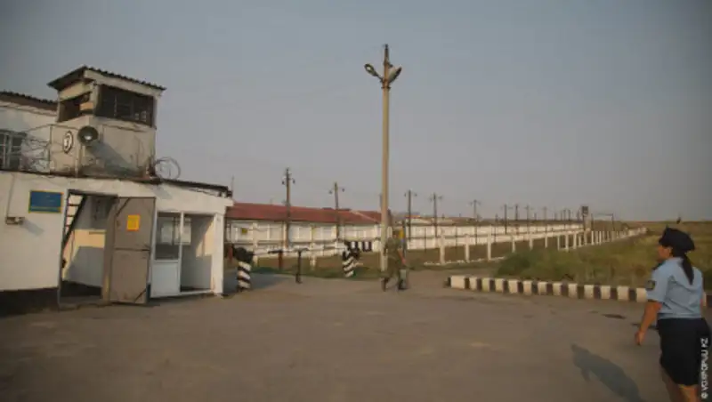 19 сотрудников "Черного беркута" заболели коронавирусом