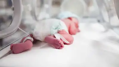 Zakon.kz, фото - Новости Zakon.kz от 29.08.2017 08:24