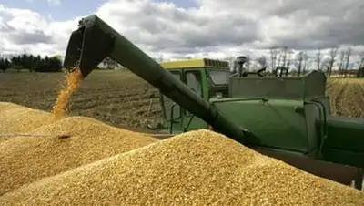 Zakon.kz, фото - Новости Zakon.kz от 03.10.2014 18:04