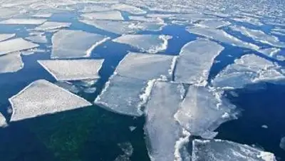 Zakon.kz, фото - Новости Zakon.kz от 30.03.2014 15:49