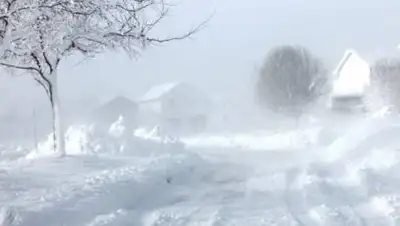 kisssudbury.com, фото - Новости Zakon.kz от 14.01.2021 17:45