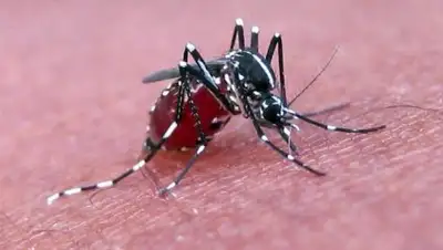 Zakon.kz, фото - Новости Zakon.kz от 21.06.2017 15:53