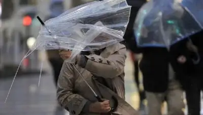 inform.kz , фото - Новости Zakon.kz от 28.05.2018 18:17