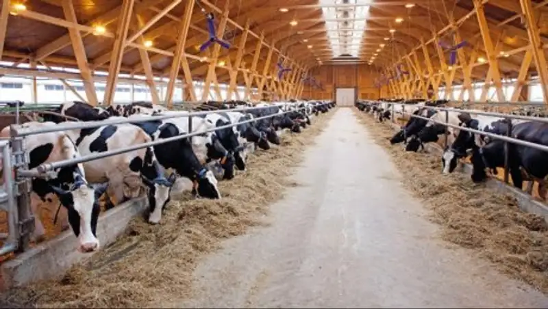 В Акмолинской области сенаторам рассказали о дефиците учебников на казахском языке 