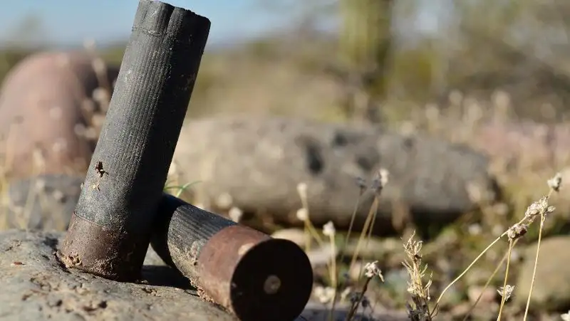 В Усть-Каменогорске после гибели ребенка начался отстрел собак