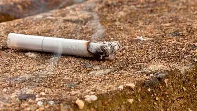 Zakon.kz, фото - Новости Zakon.kz от 21.10.2014 19:53