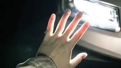 1obl.ru, фото - Новости Zakon.kz от 03.05.2018 19:01