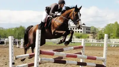 Zakon.kz, фото - Новости Zakon.kz от 11.05.2017 16:47