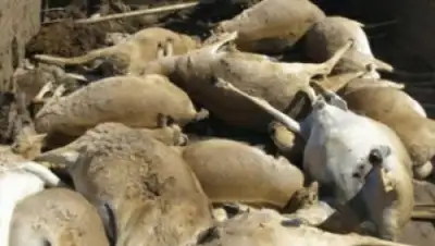 Zakon.kz, фото - Новости Zakon.kz от 21.05.2015 23:59