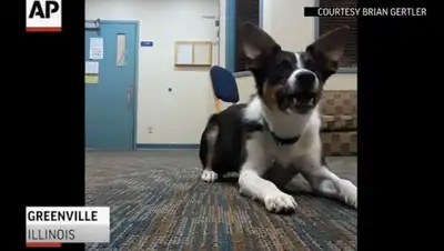 Zakon.kz, фото - Новости Zakon.kz от 18.07.2017 20:42