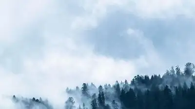 Во многих городах Казахстана прогнозируют неблагоприятные метеоусловия, фото - Новости Zakon.kz от 01.02.2023 05:54