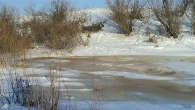 В СКО обнаружены тела погибших детей