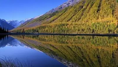 Horde.me, фото - Новости Zakon.kz от 03.08.2018 15:55