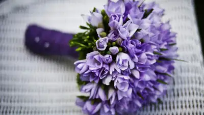 pixabay.com, фото - Новости Zakon.kz от 07.03.2019 23:30