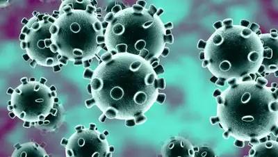 БашГУ, фото - Новости Zakon.kz от 04.07.2020 00:49