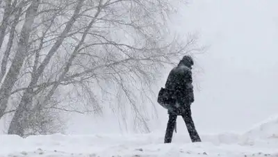 Фото: © Sputnik / Константин Чалабов, фото - Новости Zakon.kz от 23.01.2018 07:23