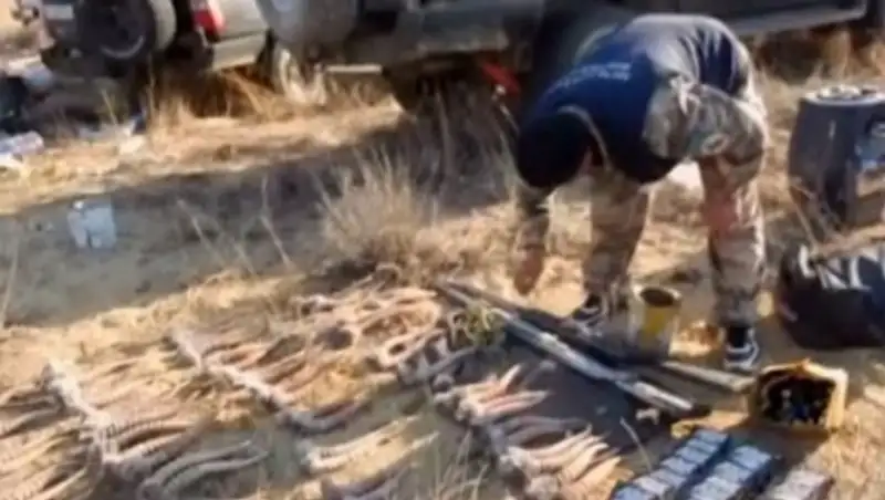 В Актюбинской области впервые за несколько лет браконьеры получили реальные сроки  