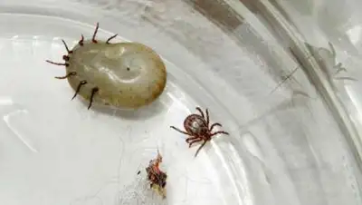 Zakon.kz, фото - Новости Zakon.kz от 28.03.2017 19:47