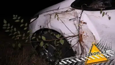 Zakon.kz, фото - Новости Zakon.kz от 17.09.2017 07:16