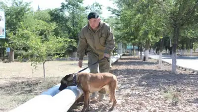 пресс-служба МО РК, фото - Новости Zakon.kz от 27.06.2019 11:48