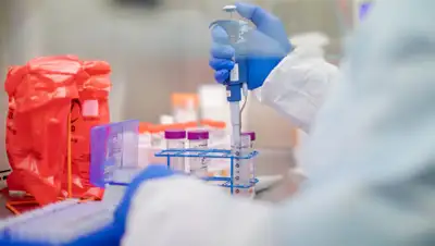 developingeconomics, фото - Новости Zakon.kz от 06.07.2020 15:42