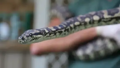 Zakon.kz, фото - Новости Zakon.kz от 12.04.2017 22:48