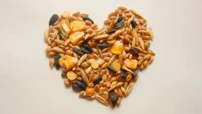 pxhere.com, фото - Новости Zakon.kz от 21.02.2021 16:13