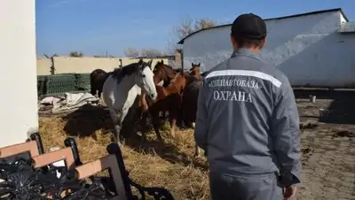 МИА «Казинформ, фото - Новости Zakon.kz от 26.10.2018 12:01