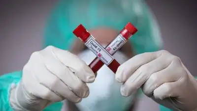 inform.kz, фото - Новости Zakon.kz от 14.02.2021 09:40