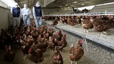 Zakon.kz, фото - Новости Zakon.kz от 05.02.2017 17:25