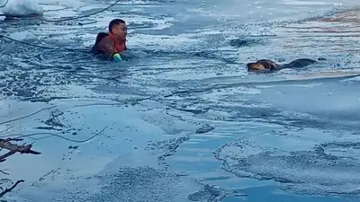 В Петропавловске спасатели вытащили собаку из ледяной воды, фото - Новости Zakon.kz от 12.03.2023 00:46