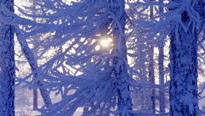 На выходных на север Казахстана придут 30 градусные морозы