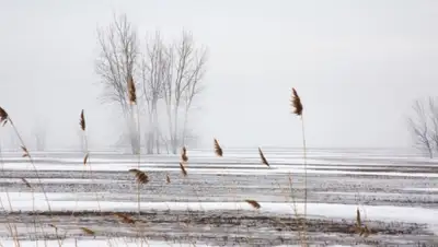 предупреждение, погода, фото - Новости Zakon.kz от 26.11.2021 17:48