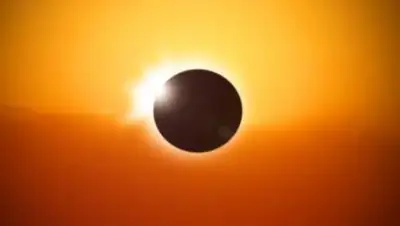 pixabay.com, фото - Новости Zakon.kz от 10.06.2021 16:40