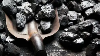 Zakon.kz, фото - Новости Zakon.kz от 08.11.2017 07:29