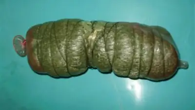 Zakon.kz, фото - Новости Zakon.kz от 31.01.2017 17:05