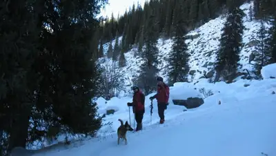 ДЧС Алматы, фото - Новости Zakon.kz от 15.11.2019 14:18