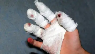 Zakon.kz, фото - Новости Zakon.kz от 25.12.2014 22:06