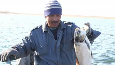 Zakon.kz, фото - Новости Zakon.kz от 10.11.2014 01:53