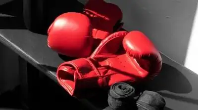боксерские перчатки, фото - Новости Zakon.kz от 07.10.2023 15:39