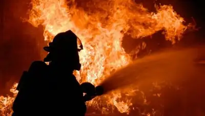 Хабар 24, фото - Новости Zakon.kz от 13.12.2018 11:35