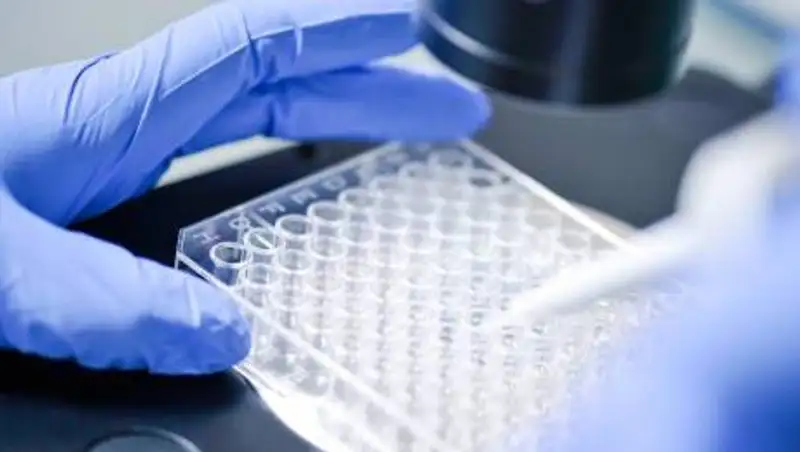 Открытие об иммунитете к коронавирусу сделали ученые